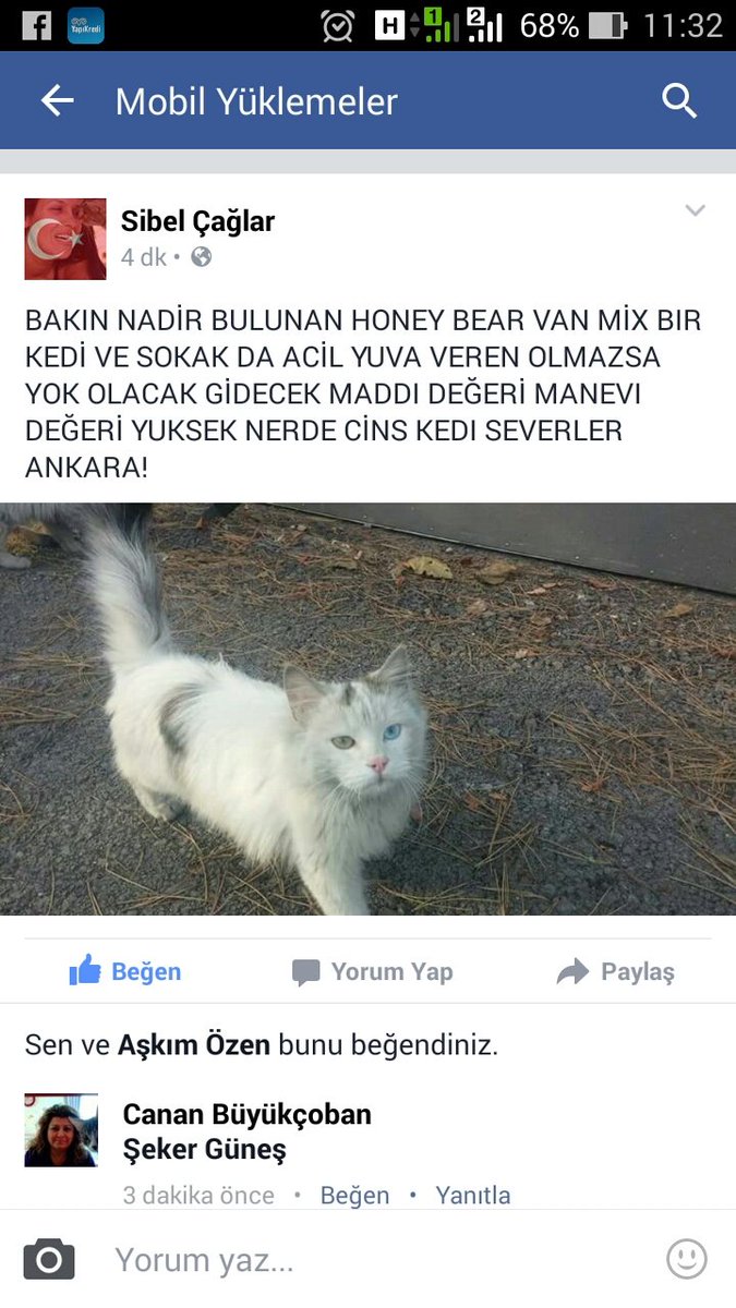 Ankara acil  yuva  <a href="/sibel_caglar/">TC Sibel Çağlar</a>