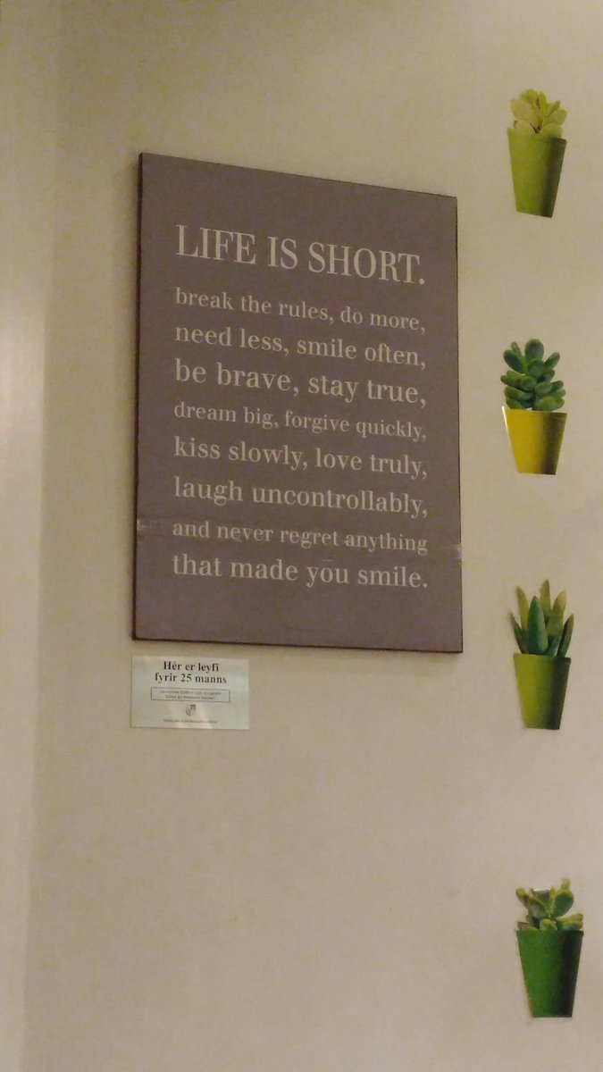ulsterbok's tweet photo. Walking tour of Rejkjavik today, Northern Lights last night #bucketlist #TrifleWithLife this on the wall in cafe https://t.co/VuDRwMyvLp