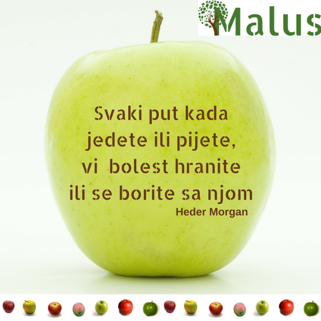 Malus_Olev's tweet photo. https://t.co/0hAY2y2p7B