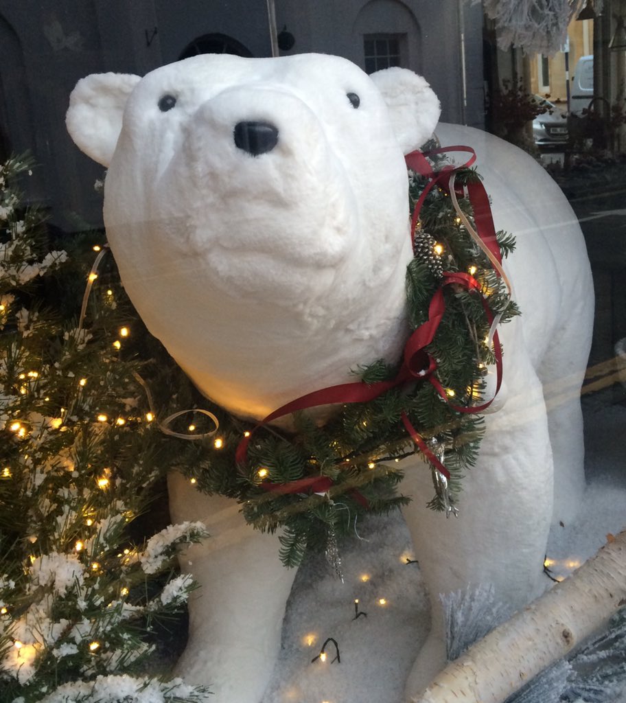 Pierre the Bear tweet media