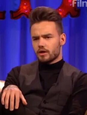 STYLATORARMY's tweet photo. Liam girls https://t.co/KD14iY431m