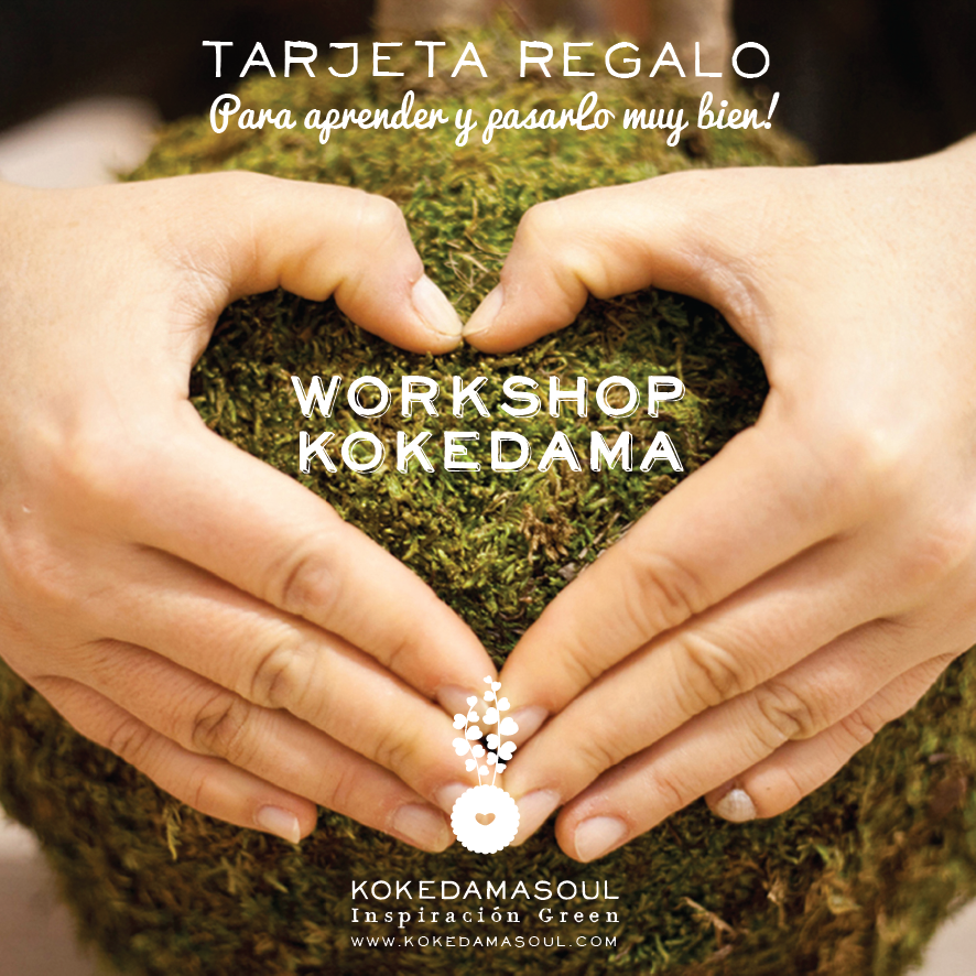 Regalo fácil de gestionar, divertido, memorable y totalmente resultón: UN WORKSHOP KOKEDAMA! kokedamasoul.com/producto/tarje…