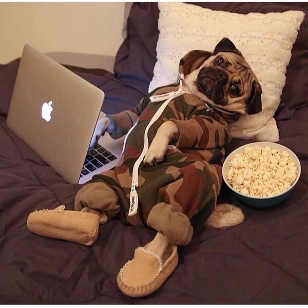 ItsBaeFeelings's tweet image. Mood