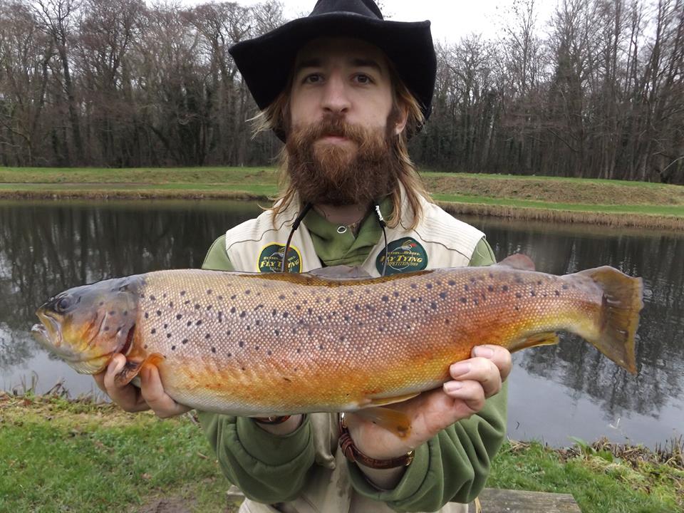 AytonRen's tweet photo. Another lovely Brown from @RockbourneTrout https://t.co/WIYowPbRHx