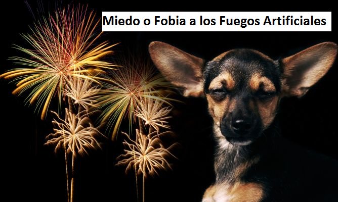 MIEDO O FOBIA A LOS FUEGOS ARTIFICIALES facebook.com/notes/etolog%C…