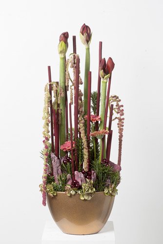 Heb je een voorkeur voor hoogte? Kies dan bloemen met lange stelen
zoals de statige Amaryllis en vrolijke Gerbera’s