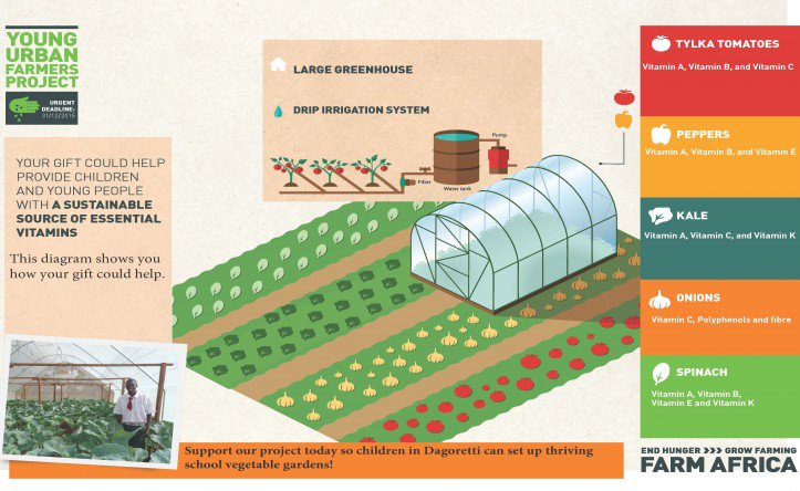 EnrickaJ's tweet image. RT @FarmAfrica: School vegetable gardens help provide young people with a sustainable source of essential vitamins: