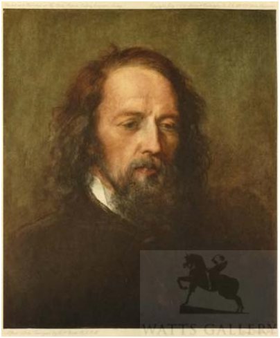 Tennyson tweet media