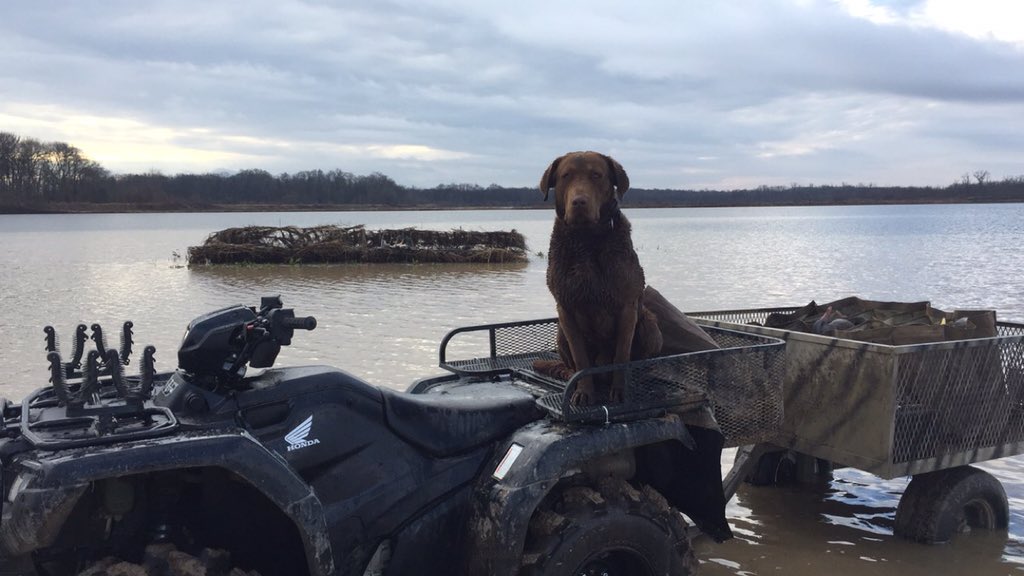 WesBottom's tweet image. Just a few hunts recently. #WesBottom