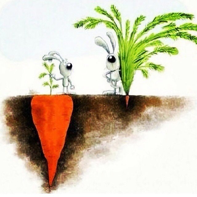Rootedthoughts's tweet image. #Success is not always what you see. #Entrepreneurship #Business