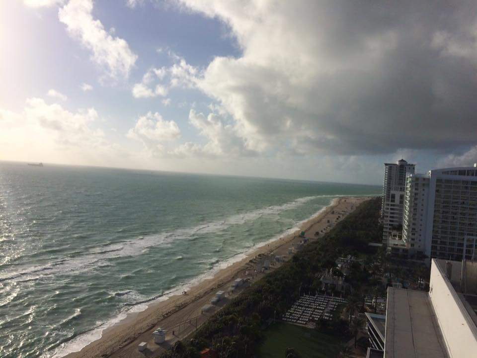 USFHOT's tweet photo. Good morning, Miami! Are you ready to watch the USF Bulls beat WKU in the #MiamiBeachBowl? #BullsUnite #BullsOnTop https://t.co/j564JeWOnm