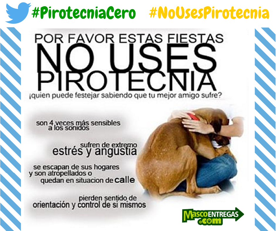 mascoentregas's tweet photo. #PirotecniaCero cuida a tu mascota en estas fiestas... https://t.co/Re5bbzSGxP