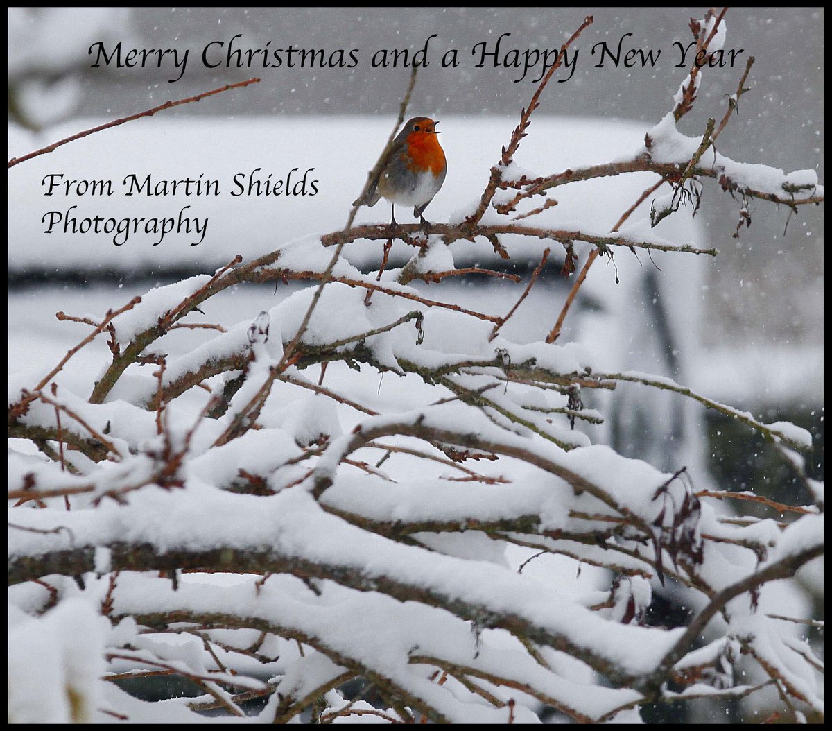 MartinShields1's tweet image. Photographing the Christmas shoppers A lack of Santa Hats prompted me for my Christmas Blog
martinshields.com/blog/