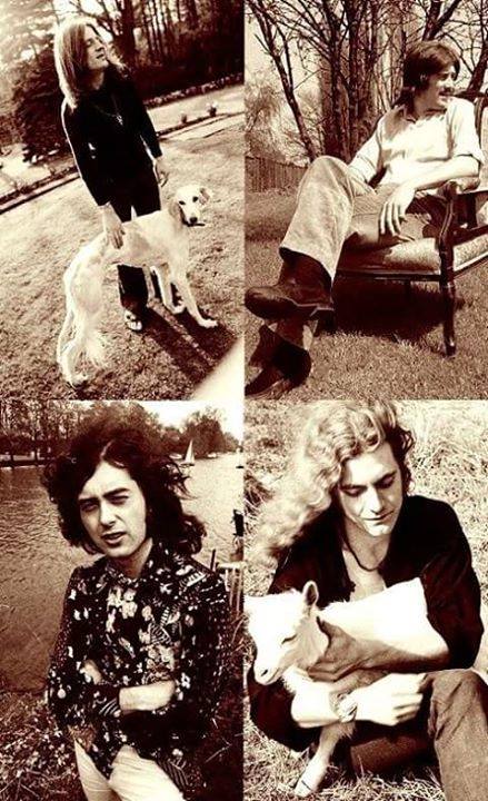 ZeppelinOn's tweet photo. #ledzep #rock #animals https://t.co/5Xo0EZqwBx