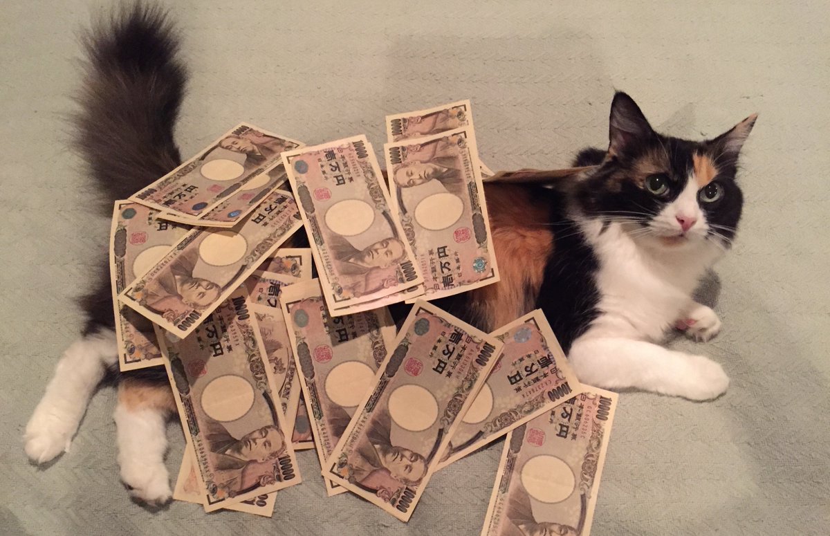 CatsAndMoney's tweet photo. when u wake up rich in another country https://t.co/sbfwZV2QoD