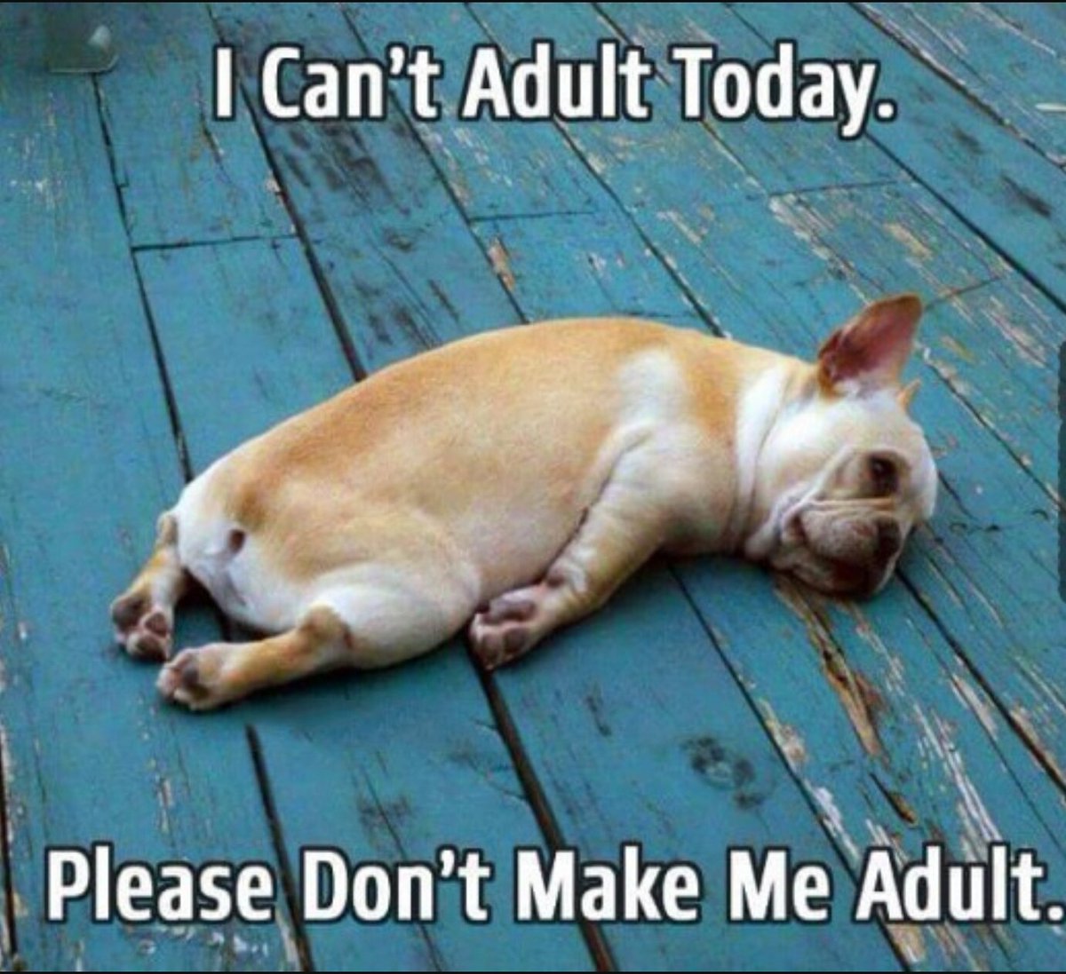 deltastarfish's tweet photo. #beingsicksucks https://t.co/vTtNKiOZe5