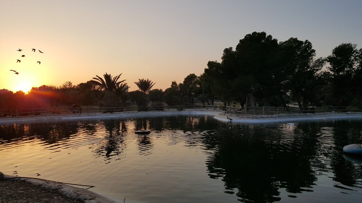 Tardes navideñas a 21°C en la Universidad de Alicante 😊