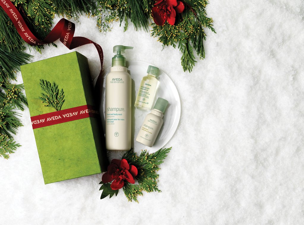 CivelloChicago's tweet photo. RT if there is an @Aveda product on your holiday wishlist this year. https://t.co/mf099iZ8rR
