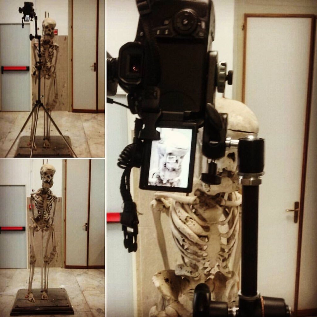3DTAM_EU's tweet image. Upstanding #acromegalic #skeleton
#3D #scan at #museum of #Pathological #Anatomy @unipait for #digital #preservation