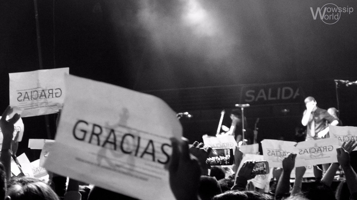 La #InvasionTortuga llega a Madrid para cerrar la gira.
goo.gl/CovS6B