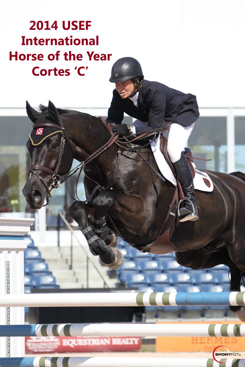 USequestrian's tweet image. 2015 Horse of the Year voting is NOW OPEN! Vote now: bit.ly/HOTY15