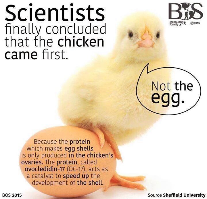 BiliminGelişmesi İçinFen @hmzaydg <a href="/Yusuf__Tekin/">Yusuf Tekin</a>