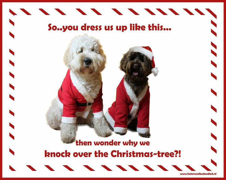 BoekBedoodled's tweet photo. Wij wensen iedereen fijne kerstdagen! #bedoodled https://t.co/rDQ8nbTO4Q