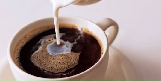 kabralcabral's tweet photo. Vamos #Cafezar com #Cuscuzar...#Tapiocar....e #Setecapar..??..kkkkkkkkkk https://t.co/o7yoGJJ4Le