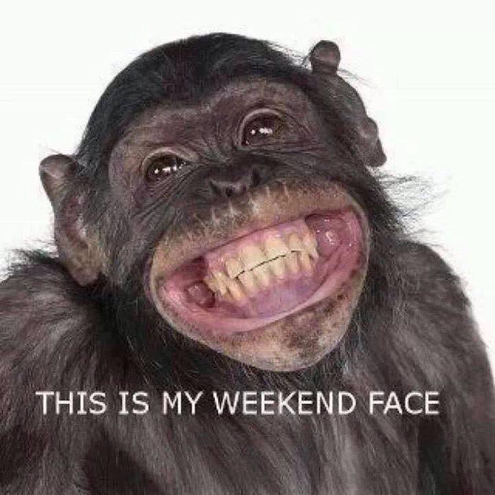 But it's #Monday  and at least I don't look like a #monkey #today. :-) :-) :-)

#weekendnewsclub #weekend  #edm