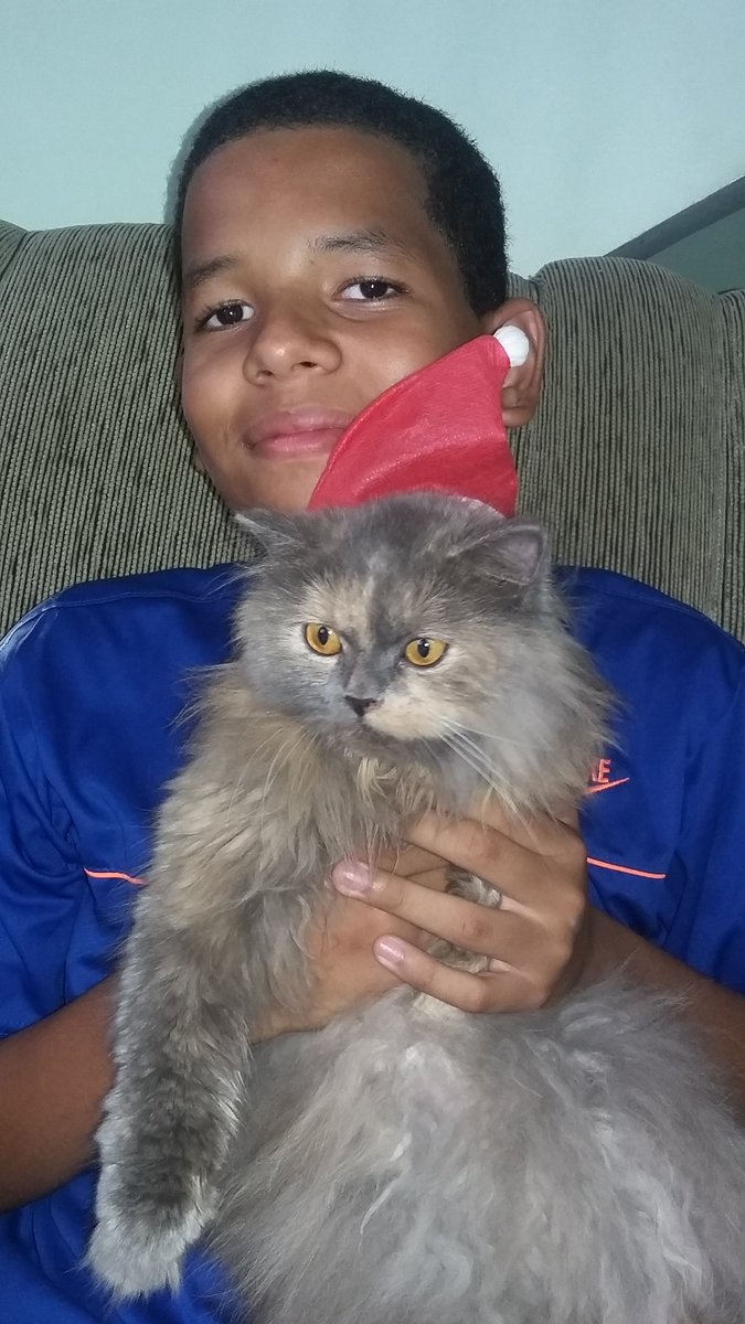 sonia_vinho's tweet image. 