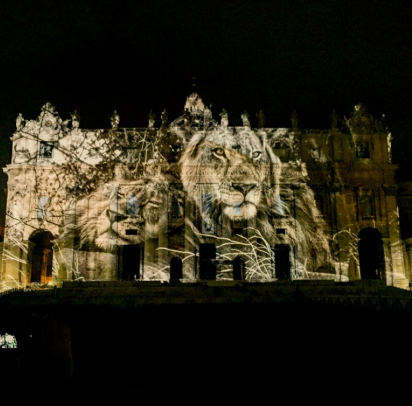 Obscura_Digital's tweet photo. Image of the day: Happy lions on St. Peter's Basilica. #StartWith1Thing https://t.co/l454oXyzyi