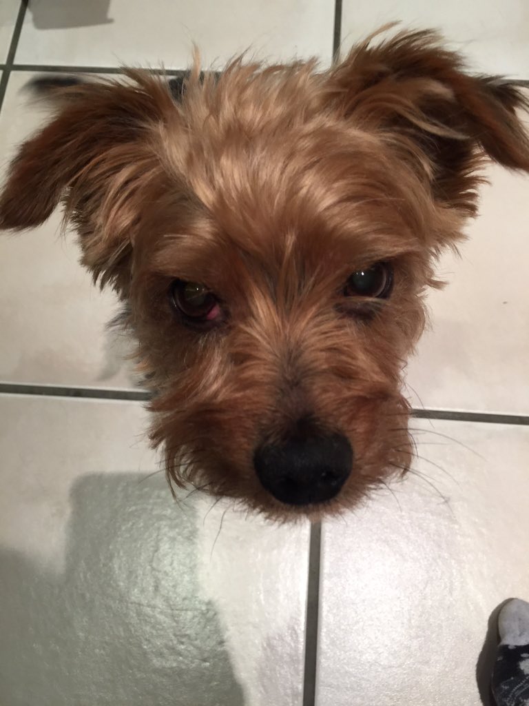 kanz108e's tweet photo. Feed me please mummy!!! https://t.co/tkqavqxM4h