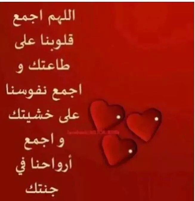 FnhrC's tweet photo. @lD3MI 
أستغفر الله العظيم الذي لا إله إلا هو الحي القيوم وأتوب إليه https://t.co/VYsDAy66pN