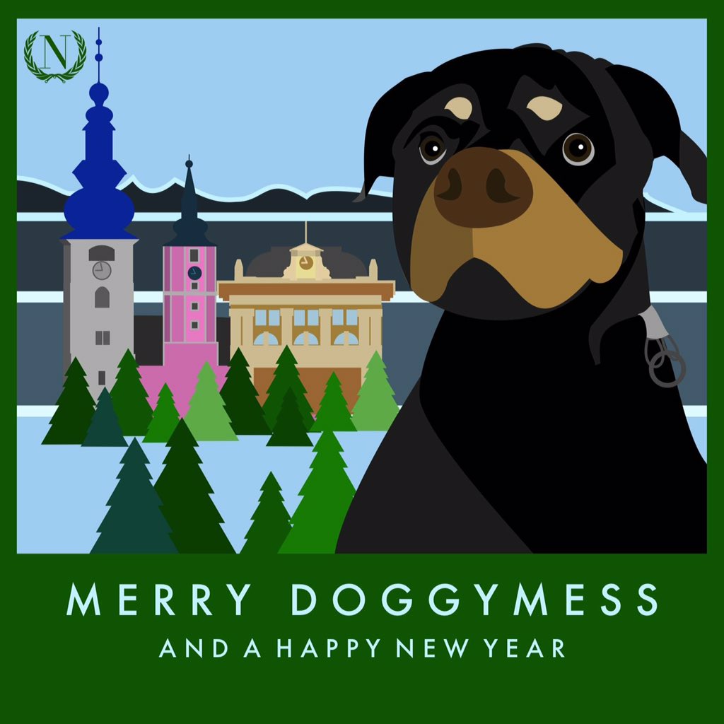 dernordtmann's tweet photo. #xmas #dog #merrychristmas #happynewyear #2016 https://t.co/B0WAdgbTqm
