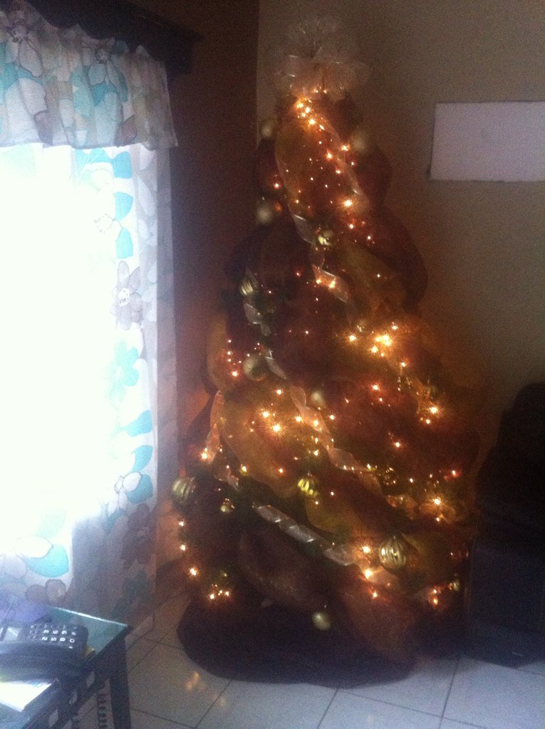 aleexiscastill0's tweet photo. #Navidad2015 #esunecho #apocosdias #folloback #follome https://t.co/ThLIGyOOOi