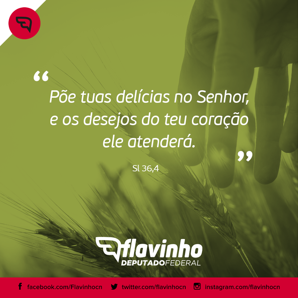 Link permanente da imagem incorporada