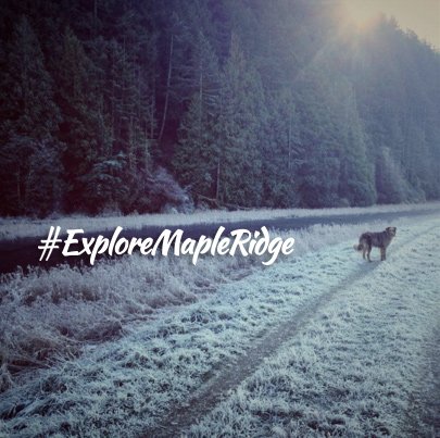 Follow me... #hike #mapleridge. Get out and #exploremapleridge!
Photo by Michelle Zazulak