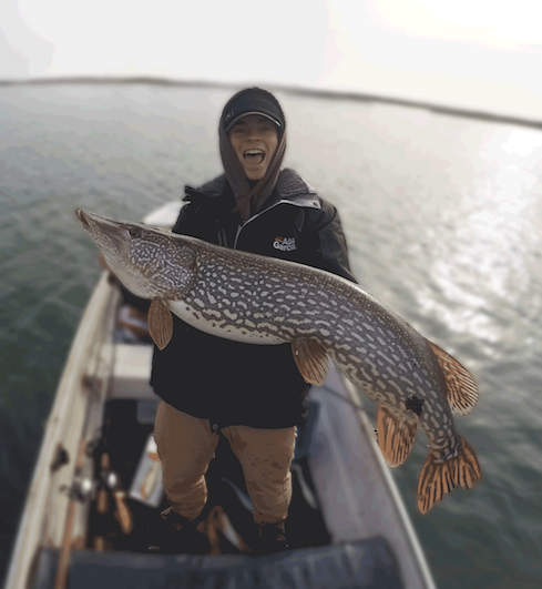 Lake Ontario piggy, woooop #ilovefishing #lovinthisweather #December #pike <a href="/Abu_Garcia/">Abu Garcia</a> <a href="/BerkleyFishing/">BerkleyFishing</a> @BASS_nation