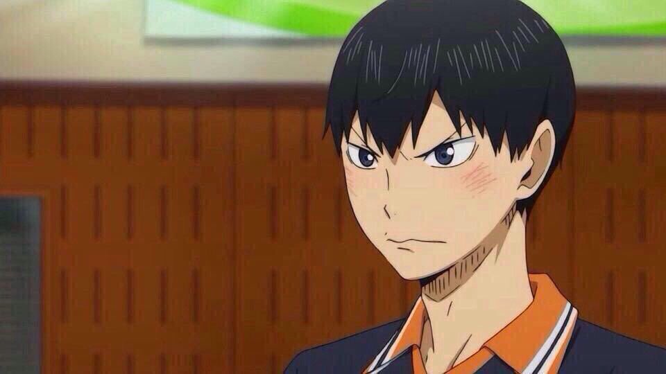 12月22日は影山飛雄の誕生日 #影山飛雄生誕祭2015 #12月22日は烏野の