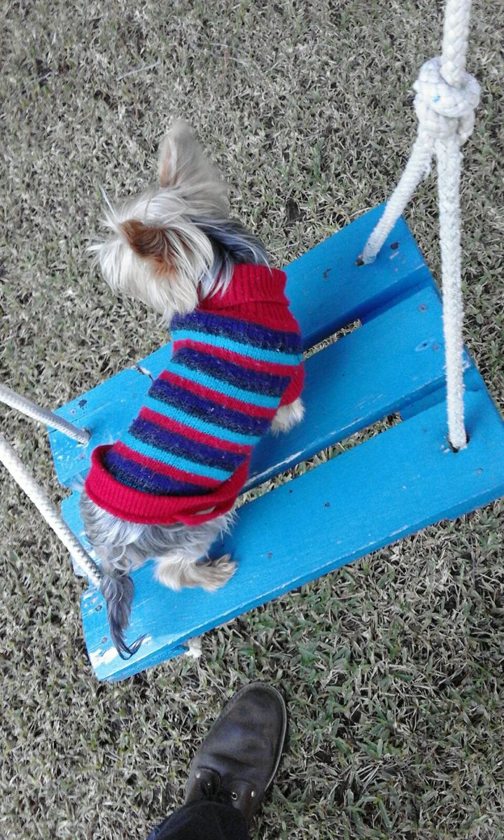 ElyFlipo's tweet photo. El pequeño va al parque!!! =D https://t.co/siNIFQTFeg