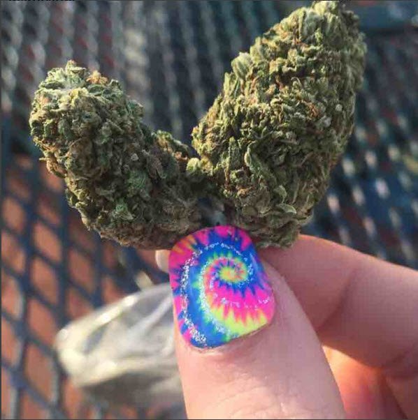 dubyapp's tweet photo. Love 💚💙💜💛 #stoner  #420 #weedporn #weedart #dubyapp #nailart #nugart #hippiestoners ❤✌ https://t.co/q1hOYvutXh
