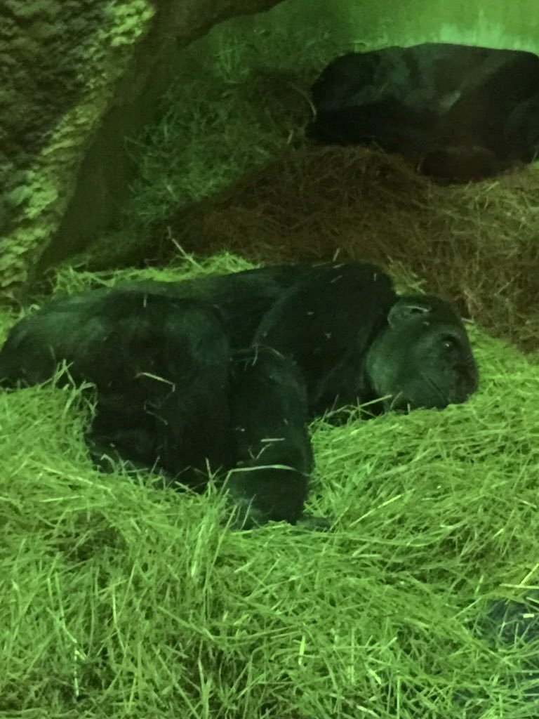 Who'd of thought his bedtime was 530!!