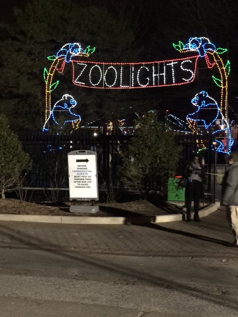 Chris Bodmer (@chrisbodmer1) on Twitter photo 