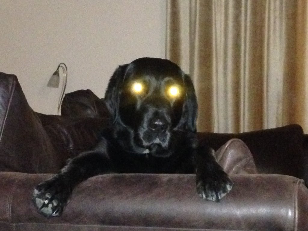 Look into my eyes....