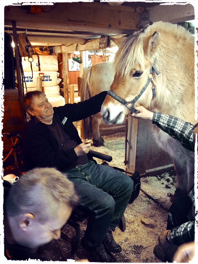 MarteAnne's tweet photo. My brother, my dad, my daughter with my animals.. #home #dad #brother #daughter #datter #pspps #rabbit #horse #hest https://t.co/tdkOSPNWJX