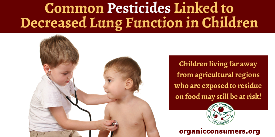 OrganicConsumer's tweet photo. HEALTH ALERT! Common #pesticides linked to decreased lung function in children! Learn more: https://t.co/gbDzCkfcYH https://t.co/2w4KxNinlT