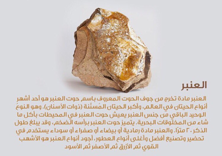 1LabelStore's tweet image. #معلومات_"ليبل ستور"