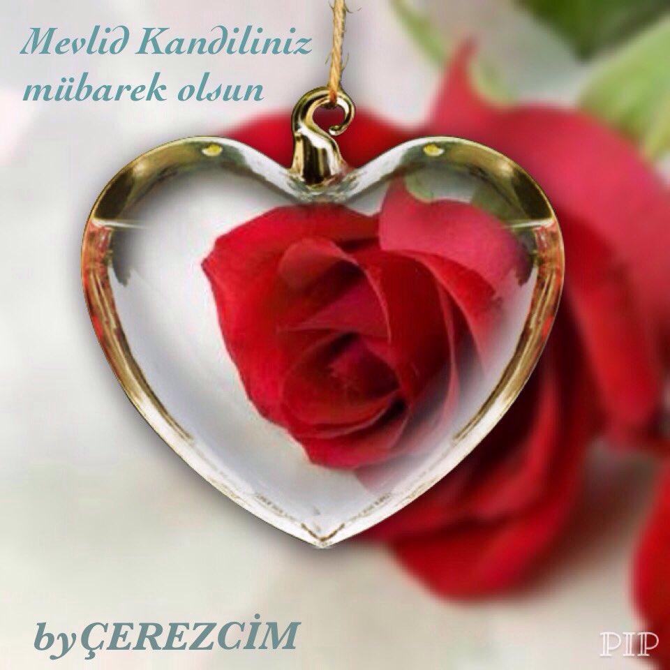 ByCerezcim's tweet photo. #Mevlid#Kandiliniz#Mübarek#Olsun https://t.co/7N3IB602fA