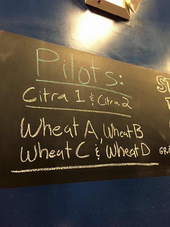 MassBrewBros's tweet image. Lots of #pilotbatches to taste at @lordhobobrewing in #Woburn plus plenty of #Boomsauce