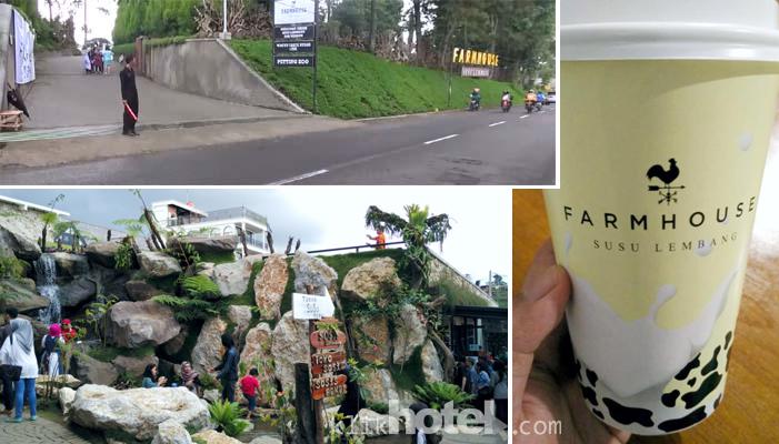 Farmhouse! Wisata yg lagi naik daun di Bandung,km bisa cicip segarnya susu murni lembang #HiBandung #wisata